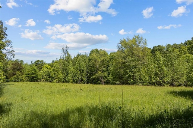 4410 Trace Creek Rd, Mc Ewen, TN 37101 - view of woods