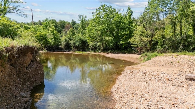 4410 Trace Creek Rd, Mc Ewen, TN 37101 - water view featuring a heavily wooded area