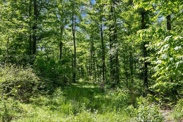 4410 Trace Creek Rd, Mc Ewen, TN 37101 - view of tree filled area