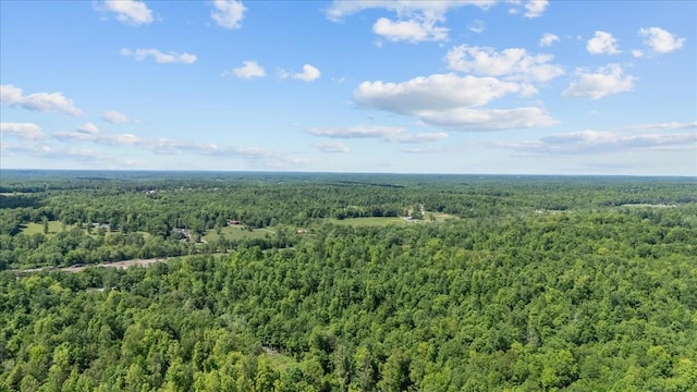 4410 Trace Creek Rd, Mc Ewen, TN 37101 - aerial view of a forest
