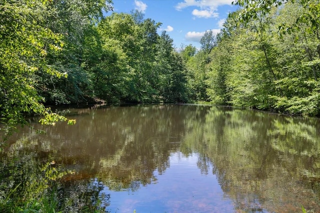 4410 Trace Creek Rd, Mc Ewen, TN 37101 - water view with a heavily wooded area