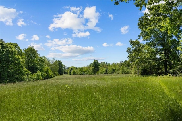 4410 Trace Creek Rd, Mc Ewen, TN 37101 - view of tree filled area
