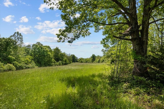 4410 Trace Creek Rd, Mc Ewen, TN 37101 - view of woods