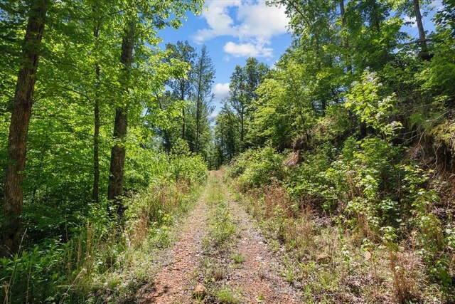 4410 Trace Creek Rd, Mc Ewen, TN 37101 - view of wooded area