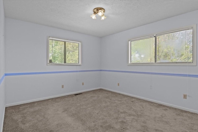 4410 Trace Creek Rd, Mc Ewen, TN 37101 - empty room featuring plenty of natural light, carpet, baseboards, and a textured ceiling