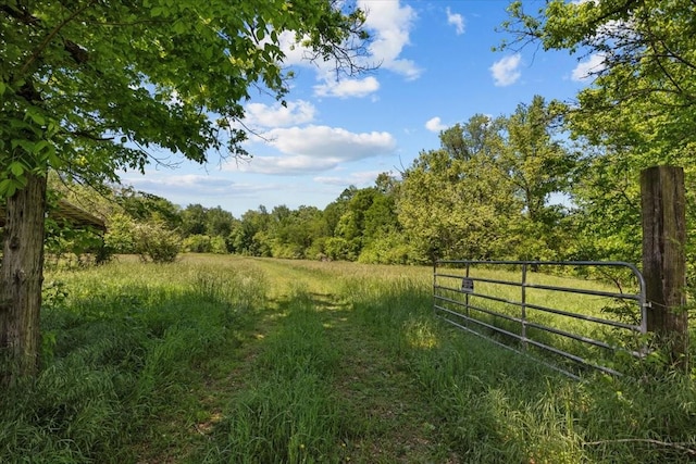 4410 Trace Creek Rd, Mc Ewen, TN 37101 - view of yard featuring a view of trees and fence