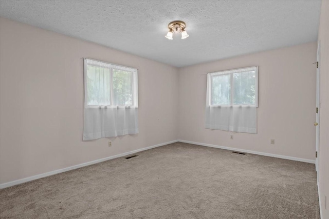 4410 Trace Creek Rd, Mc Ewen, TN 37101 - spare room with healthy amount of natural light, carpet floors, baseboards, and a textured ceiling