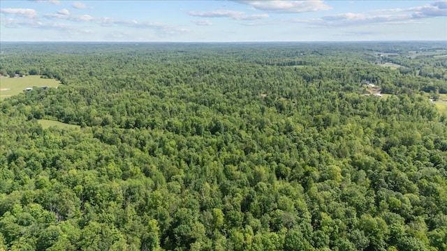 4410 Trace Creek Rd, Mc Ewen, TN 37101 - aerial view of a forest