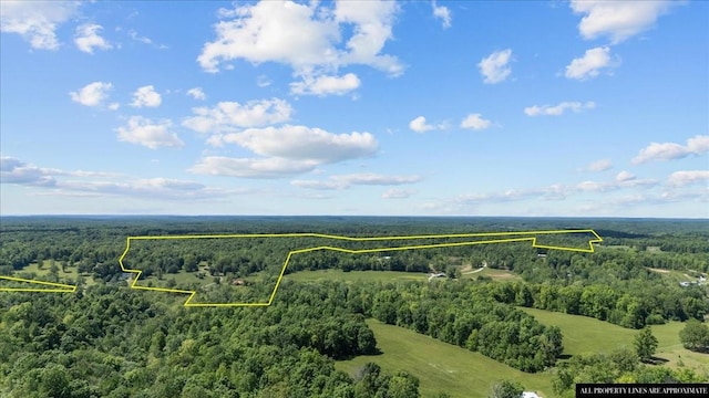 4410 Trace Creek Rd, Mc Ewen, TN 37101 - aerial view of property and surrounding area featuring a heavily wooded area and property parcel outlined