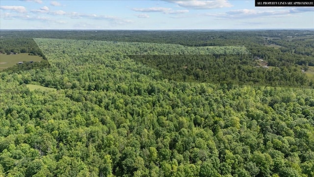 4410 Trace Creek Rd, Mc Ewen, TN 37101 - aerial view of a heavily wooded area
