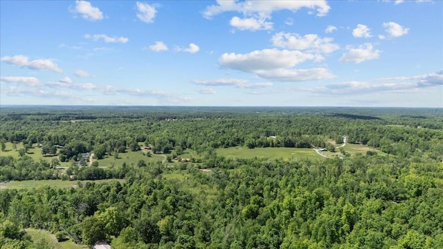 4410 Trace Creek Rd, Mc Ewen, TN 37101 - bird's eye view of a forest