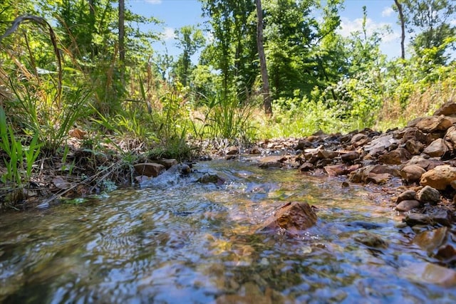 4410 Trace Creek Rd, Mc Ewen, TN 37101 - view of undeveloped land