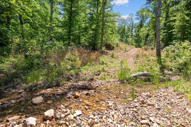 4410 Trace Creek Rd, Mc Ewen, TN 37101 - view of woods