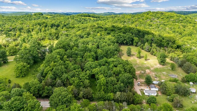 475 Old Elkton Pike, Fayetteville, TN 37334 - photo 6