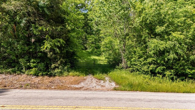 475 Old Elkton Pike, Fayetteville, TN 37334 - photo 7