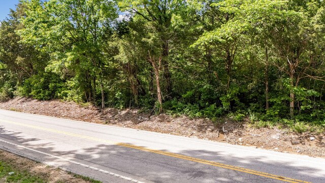 475 Old Elkton Pike, Fayetteville, TN 37334 - photo 15