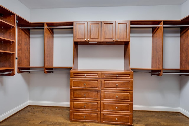 spacious closet featuring dark wood-style floors