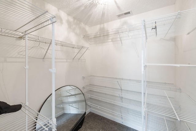 325 Golfview Ln, Springfield, TN 37172 - walk in closet featuring carpet floors