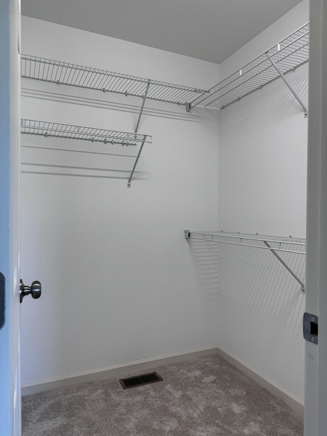 62 Sundance Dr, Lawrenceburg, TN 38464 - walk in closet with carpet floors