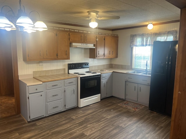 207 Powell St, Decherd, TN 37324 - kitchen with electric range oven, black refrigerator with ice dispenser, a sink, under cabinet range hood, and dark wood-style floors
