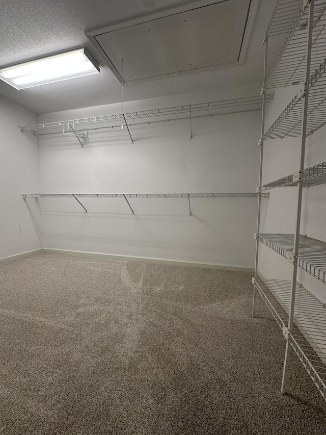 6900 Snow View Ln, Ooltewah, TN 37363 - walk in closet featuring attic access and carpet floors