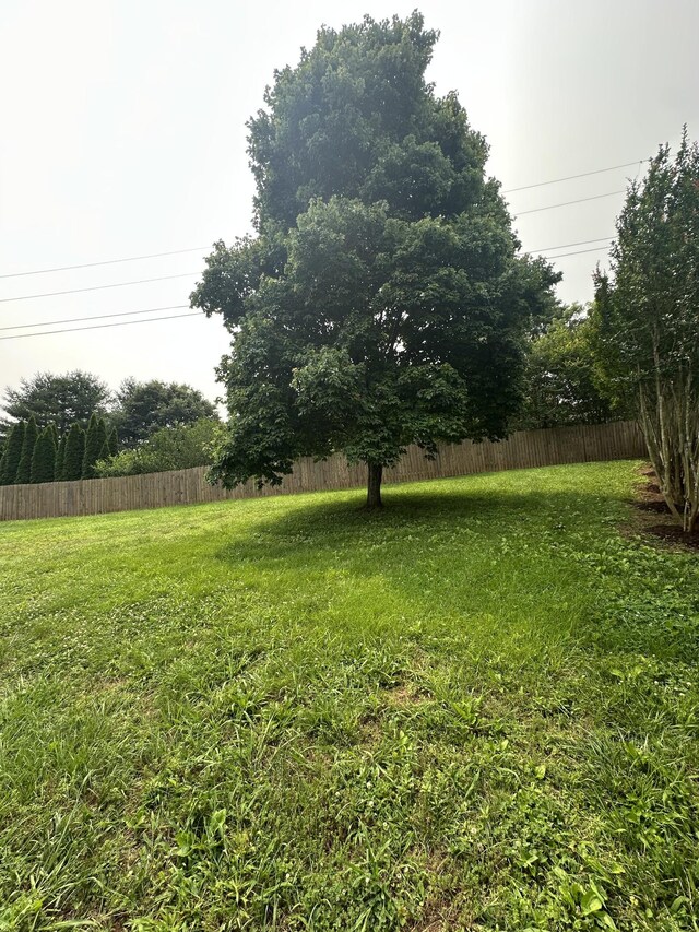 6900 Snow View Ln, Ooltewah, TN 37363 - view of yard