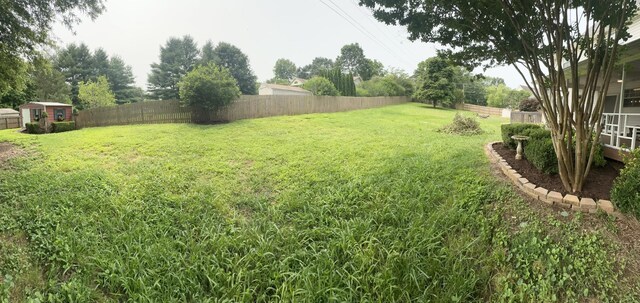 6900 Snow View Ln, Ooltewah, TN 37363 - view of yard