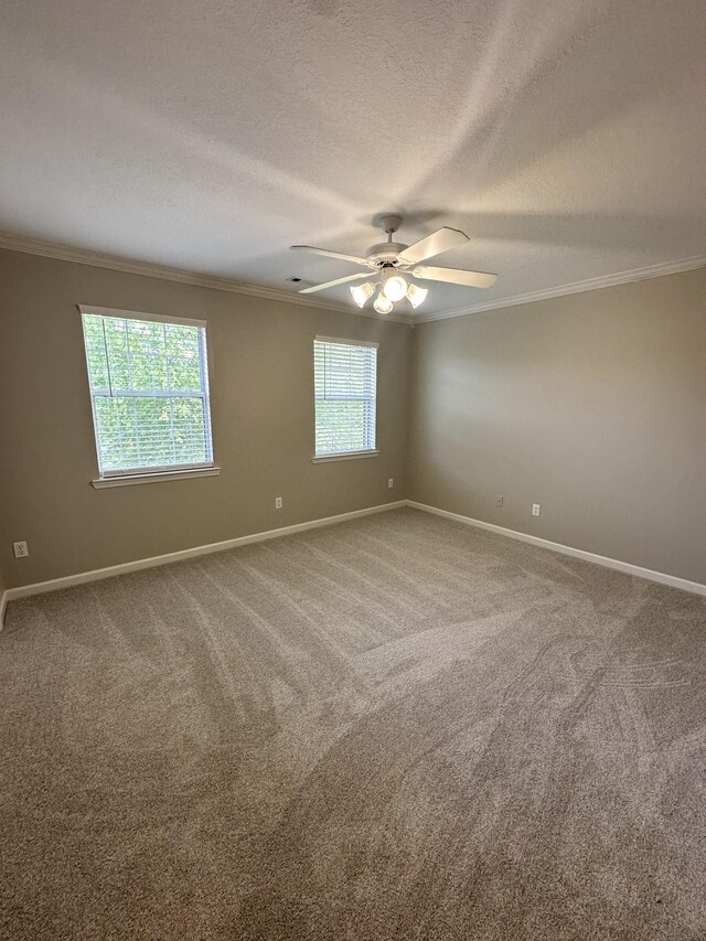 6900 Snow View Ln, Ooltewah, TN 37363 - carpeted empty room with ornamental molding, baseboards, plenty of natural light, and a textured ceiling