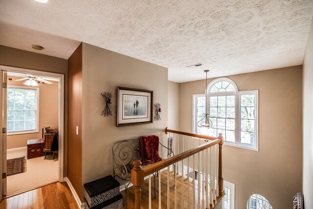 813 Travis Springs Dr, Madison, TN 37115 - photo 33