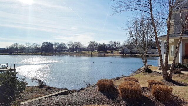 813 Travis Springs Dr, Madison, TN 37115 - photo 56