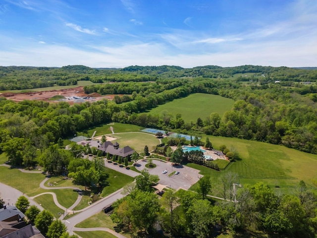 2984 Americus Dr, Thompsons Station, TN 37179 - photo 58