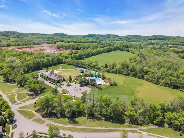 2984 Americus Dr, Thompsons Station, TN 37179 - photo 59