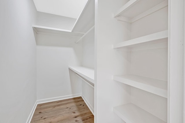 walk in closet featuring wood finished floors