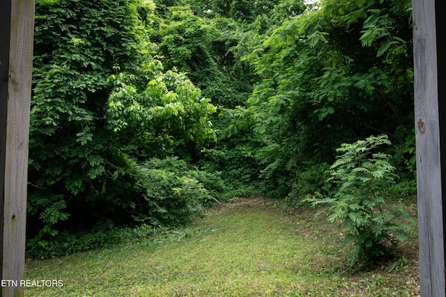 112 Pelham Rd, Knoxville, TN 37914 - view of woods