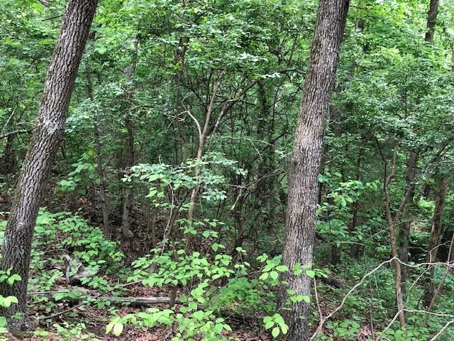 1340 Owl Cir, Hurricane Mills, TN 37078