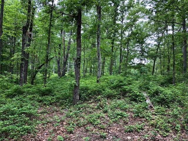 1340 Owl Cir, Hurricane Mills, TN 37078