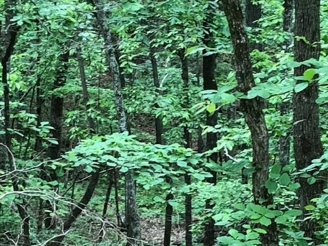 1340 Owl Cir, Hurricane Mills, TN 37078