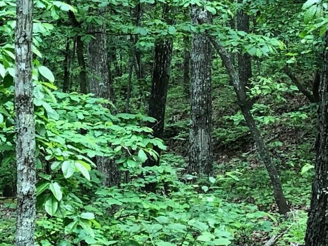 1340 Owl Cir, Hurricane Mills, TN 37078