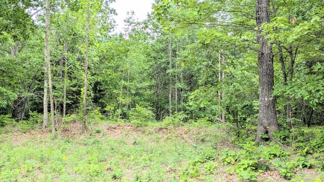 1340 Owl Cir, Hurricane Mills, TN 37078