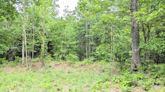 1340 Owl Cir, Hurricane Mills, TN 37078