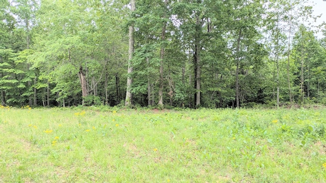 1340 Owl Cir, Hurricane Mills, TN 37078
