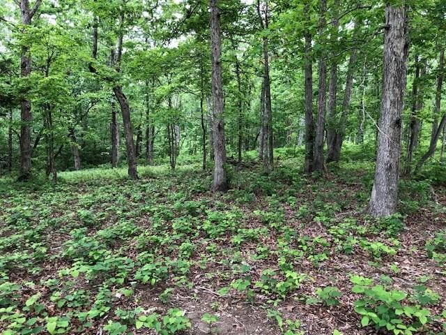 1340 Owl Cir, Hurricane Mills, TN 37078