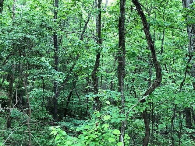 1340 Owl Cir, Hurricane Mills, TN 37078