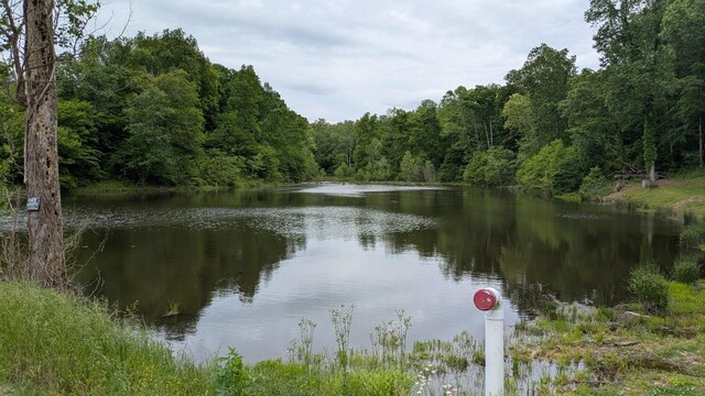 1340 Owl Cir, Hurricane Mills, TN 37078