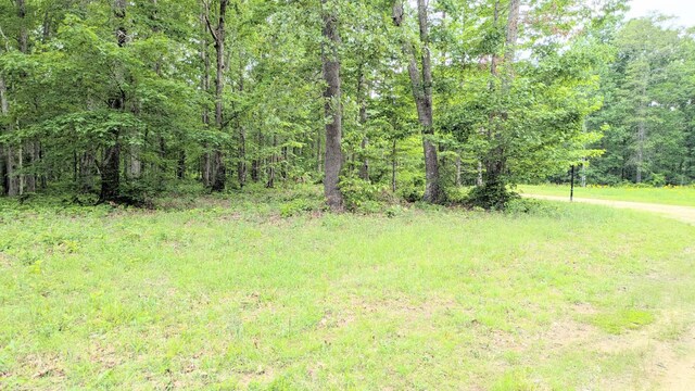1340 Owl Cir, Hurricane Mills, TN 37078