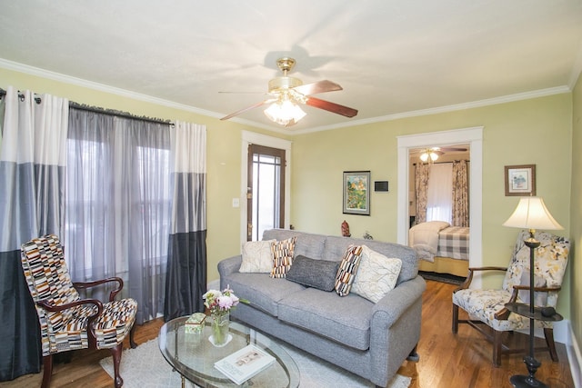 living area featuring ceiling fan, wood finished floors, and crown molding