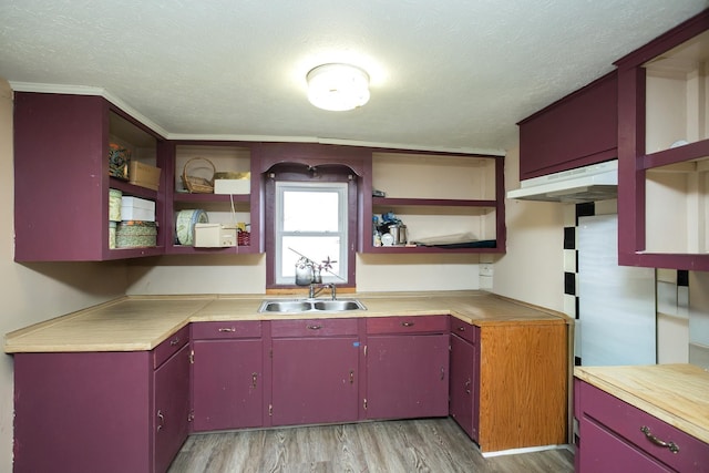 kitchen featuring red cabinetry, open shelves, under cabinet range hood, a sink, and light wood finished floors