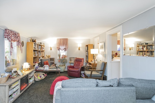 living area with carpet floors