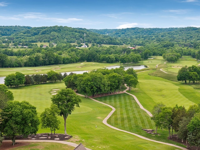 4091 Camberley St, Franklin, TN 37064 - aerial view of a nearby body of water and a golf club