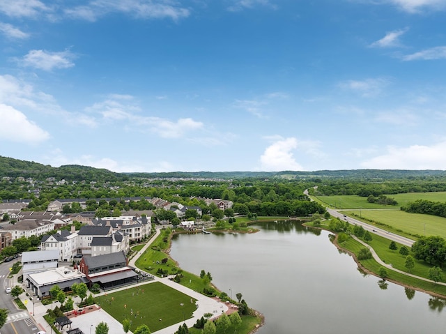 4091 Camberley St, Franklin, TN 37064 - drone / aerial view of a large body of water